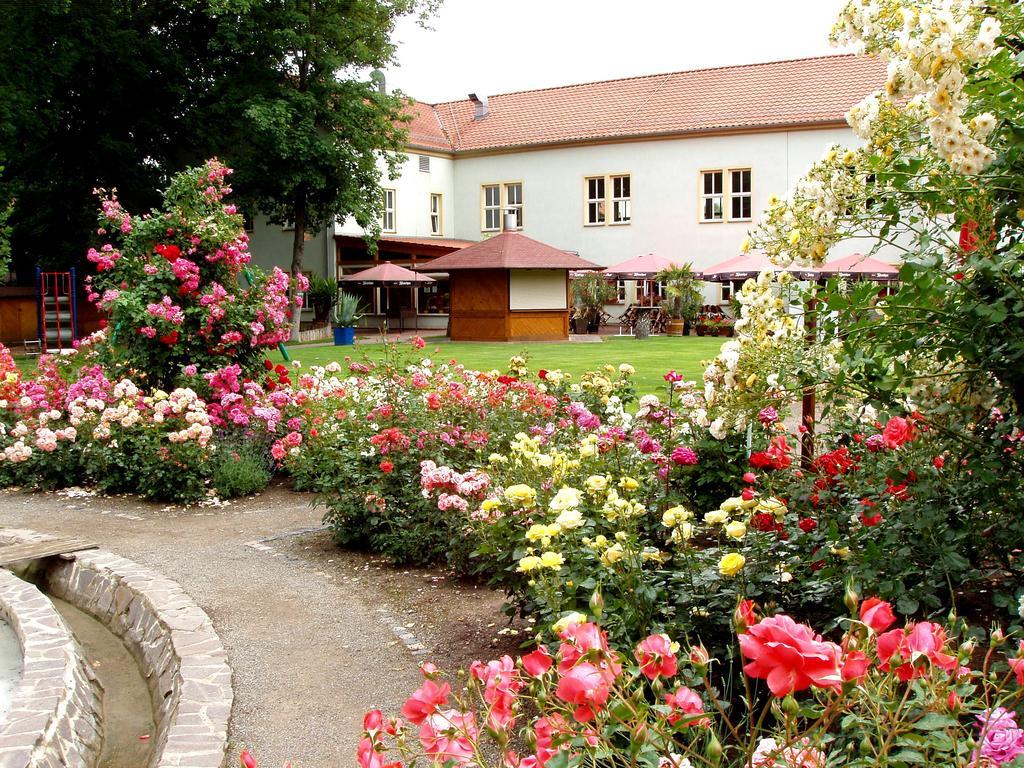 Hotel Weidenmuhle Mühlhausen Esterno foto